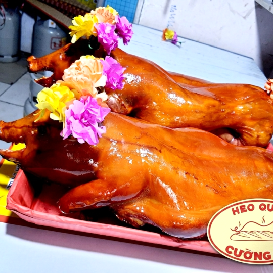 Heo Quay Lớn Cái Răng