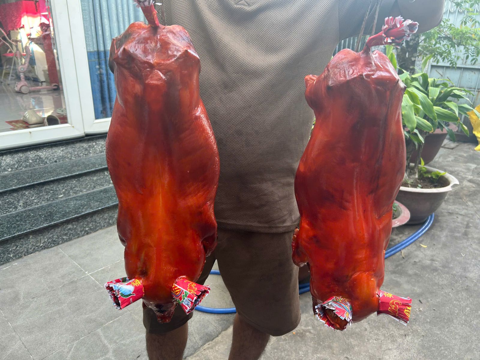 Heo sữa quay Cần Thơ dùng cho mâm cúng lễ